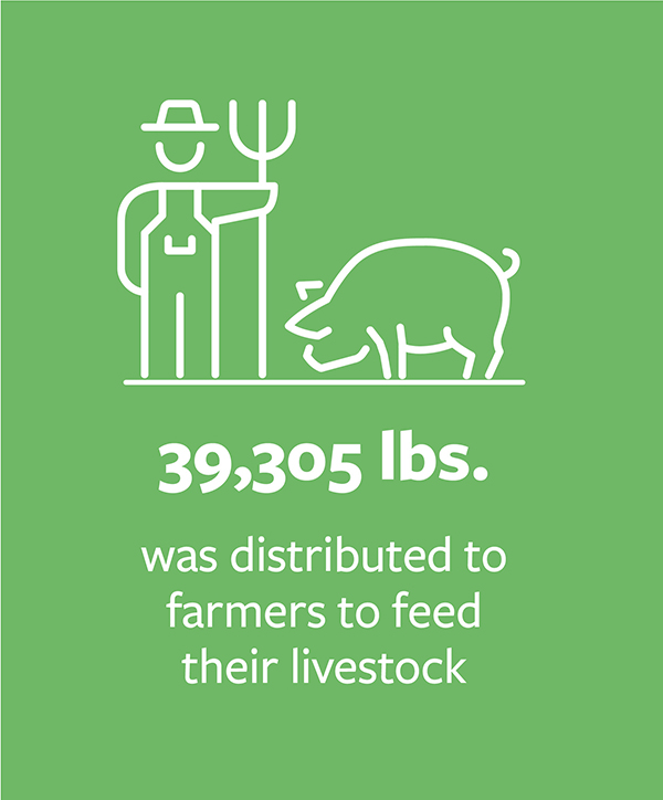 distributed.pigs